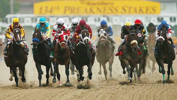 Bet the Preakness Stakes 2018 - Latest Odds 