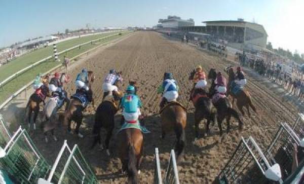 Preakness Contenders – 2013