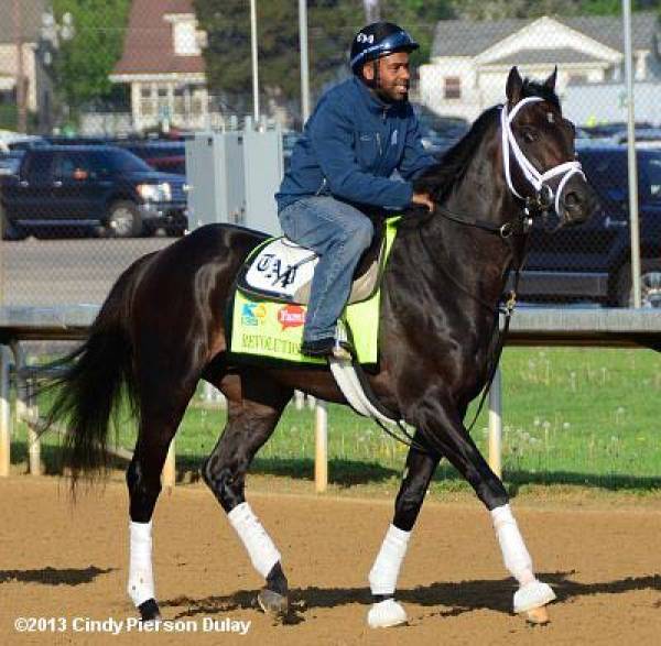 Kentucky Derby 2013 Morning Odds: Revolutionary a Favorite