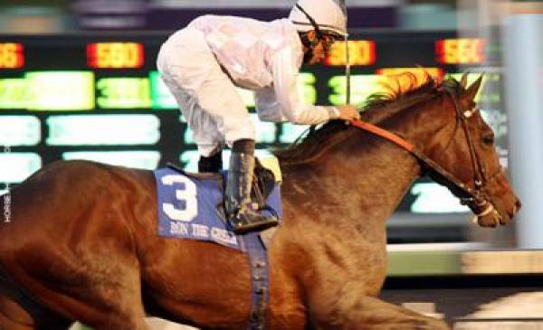 Ron The Greek, To Honor And Serve Breeders Cup Classic Betting Odds