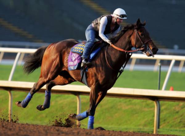 Ruler On Ice Breeders Cup Odds