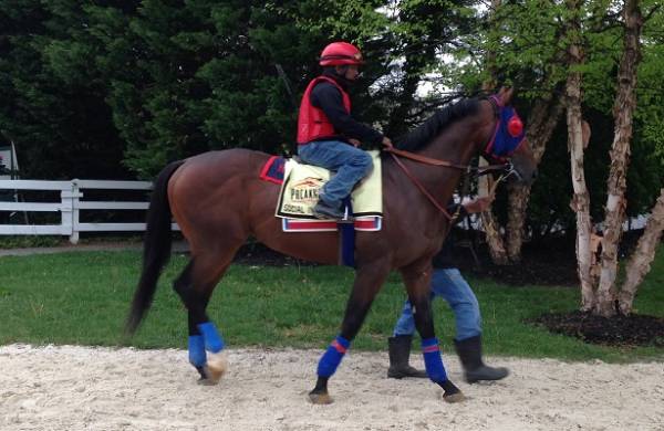 Social Inclusion Preakness Stakes Odds Still Pay Nearly 9-1 Odds at BetDSI.com