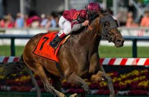 Last Gunfighter Odds to Win the Breeders Cup Classic 