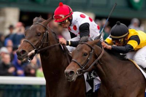 Twinspired Odds to Win Kentucky Derby