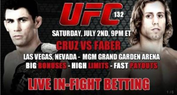 UFC 132 