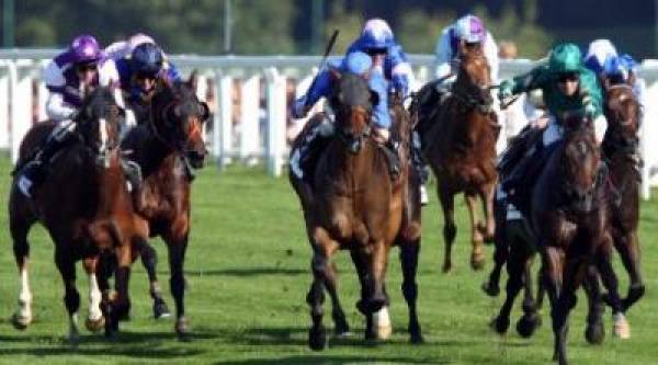 UK Horse Betting – 2011 - 2012