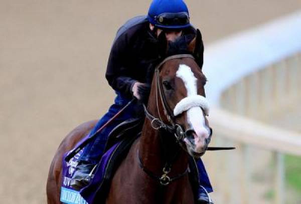 Union Rags Still Favored to Win 2012 Kentucky Derby Despite Florida Derby Upset