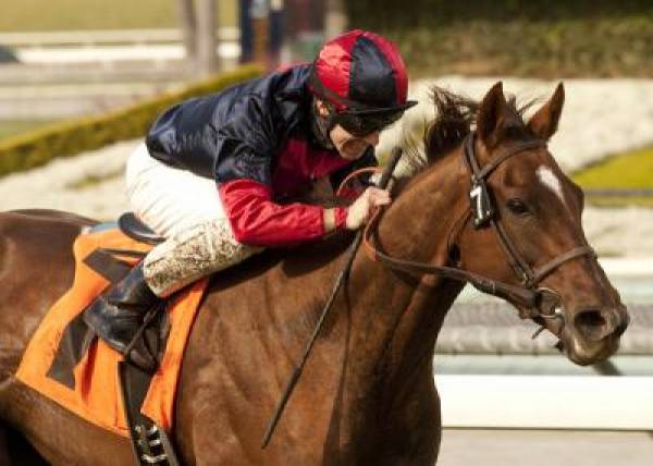 Santa Barbara Handicap 2012 Betting Odds (Video)