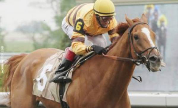 2012 Woodbine Mile Betting Odds