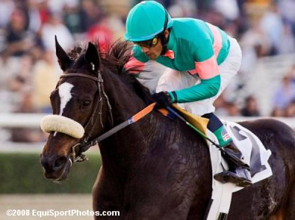 Zenyatta 2009 Breeders Cup Odds