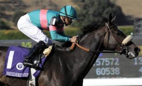 2009 Breeders Cup Classic Expert Picks And Predictions | Gambling911.com