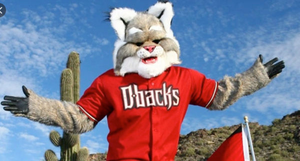 Arizona Diamondbacks Season Win Total Odds - 2020 60 Games