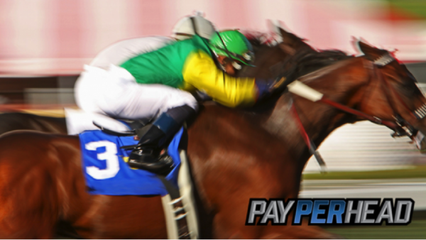 Pay Per Head Preview: The Breeders Cup Top 3 Horses To Leverage