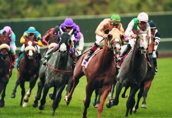 Where Can I Bet, Watch the Breeders Cup From California?