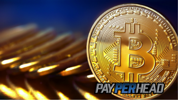 3 Price Per Head Questions Answered About Bitcoin Payment