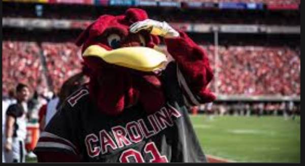 What Are the Regular Season Wins Total Odds for the South Carolina Gamecocks - 2022? 