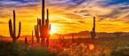 Arizona Sports Betting Legislation Introduced 