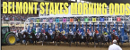 2019 Belmont Stakes Morning Odds