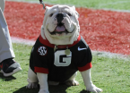 UGA Bulldogs vs Kentucky Wildcats Betting Odds, Prop Bets - Week 8