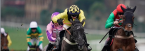 2019 Supreme Novice Hurdle Betting Odds, Picks