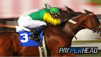 Pay Per Head Preview: The Breeders Cup Top 3 Horses To Leverage
