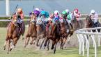Horse Racing Group Closer to Payday in Sports Gambling Suit