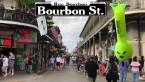 Sportsbook Near New Orleans: Bet Tulane, Saints, More