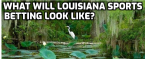Can I Bet Sports on the FanDuel App From Louisiana