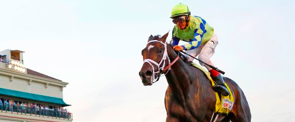 Always Dreaming Arrives at Pimlico Early