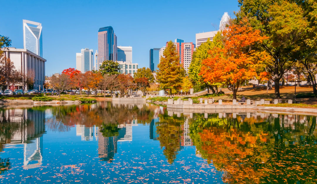 Where Can I Watch, Bet the Floyd Mayweather vs. Logan Paul Fight From Charlotte, NC