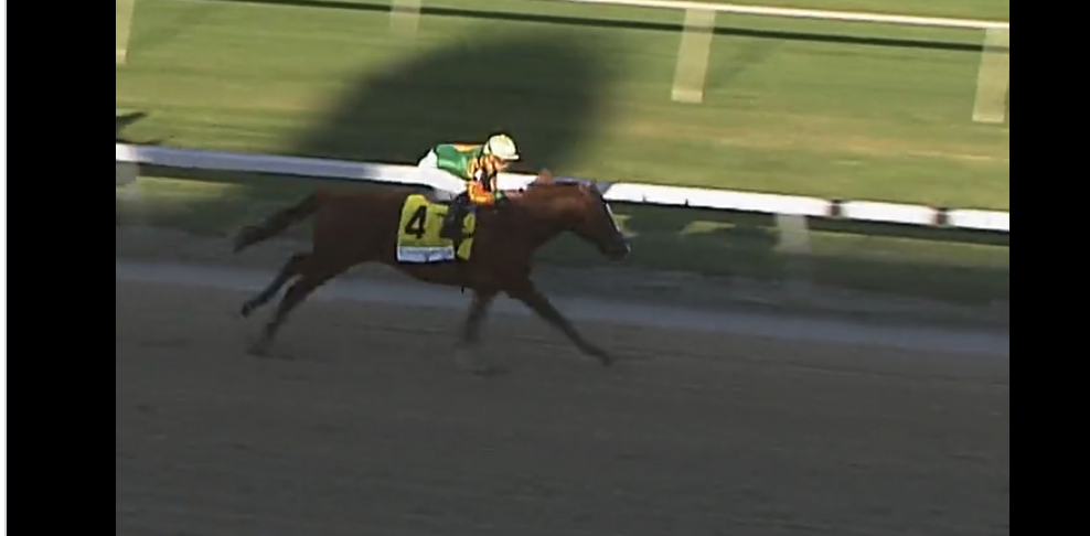 Classic Causeway Odds to Win the 2022 Florida Derby