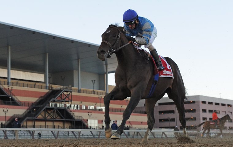 What Will the Payout Be If Cloud Computing Wins the Preakness Stakes?