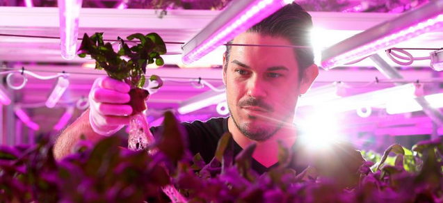 Fallen Internet Gambling Tycoon, Informant Now Growing Hydroponic Herbs
