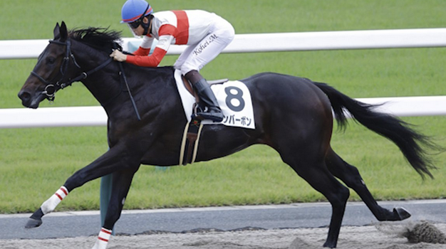 What Are the Payout Odds if Danon Bourbon Wins This Year's Kentucky Derby? 