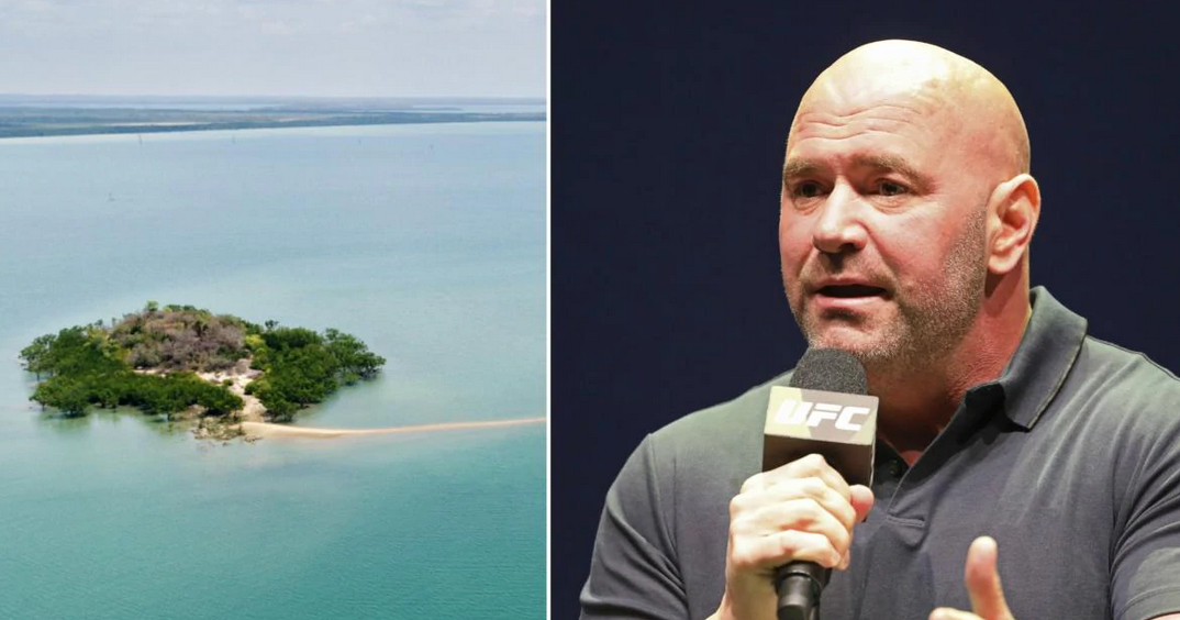 Latest Fight Island odds favor Gustafsson, Whitaker, Gastelum and Figueiredo