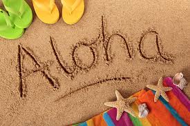 Can I Bet Online With TVG From Hawaii? 