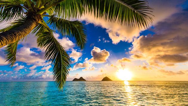 Can I Play on PokerStars From Hawaii, Utah?