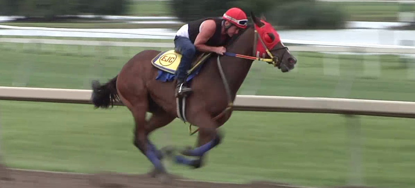 Bet on the 2021 Smarty Jones Stakes 