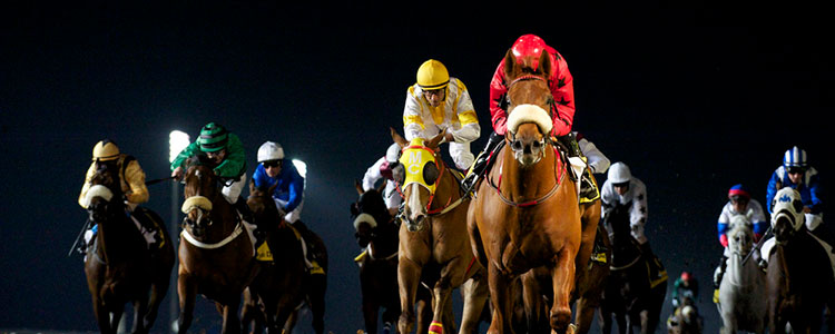 Horse Racing PPH