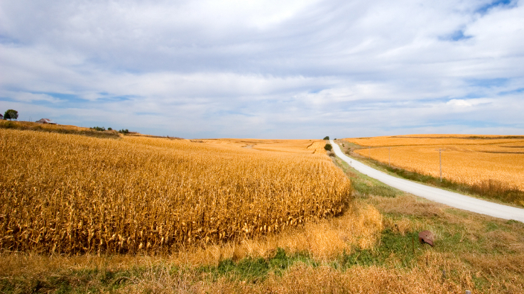 Can't Bet the Election on FanDuel From Iowa
