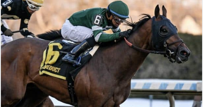 Iron Honor horse