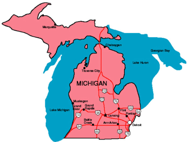 Are There Legal Online Poker Sites in Michigan?
