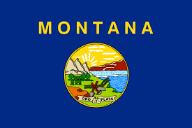 Where Can I Bet on Sports Online From Montana