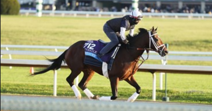 Rombauer Wins the 2021 Preakness Stakes