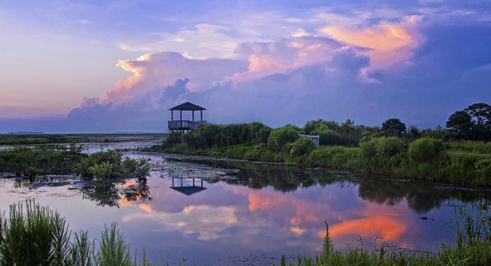 Need Pay Per Head Bookie Agent Software - Slidell, St. Tammany Parish, St. Bernard Parish