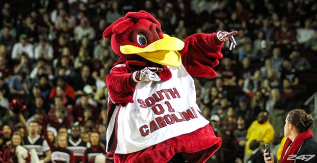 Kentucky vs. SC Betting Odds - College Basketball January 16 
