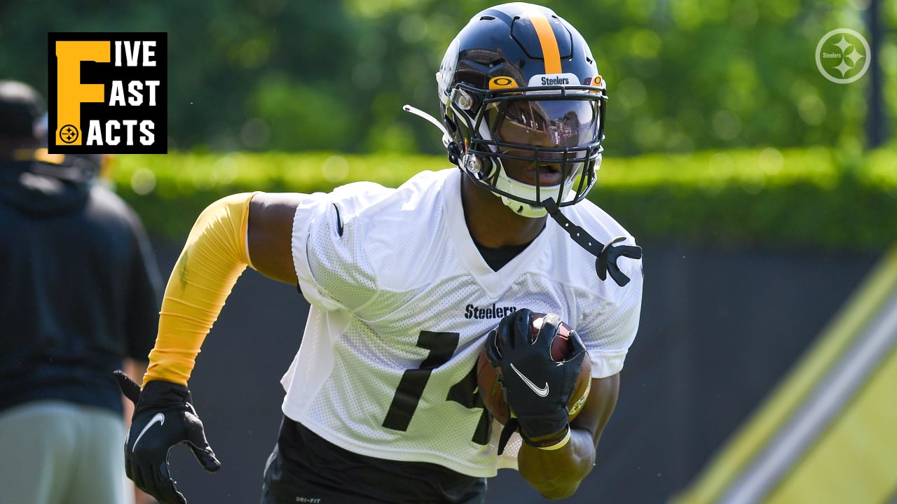  George Pickens to Win Offensive ROY in 2022 Betting Odds - The Top Liability 