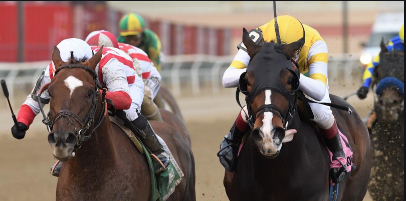 2021 Wood Memorial Morning Payout Odds