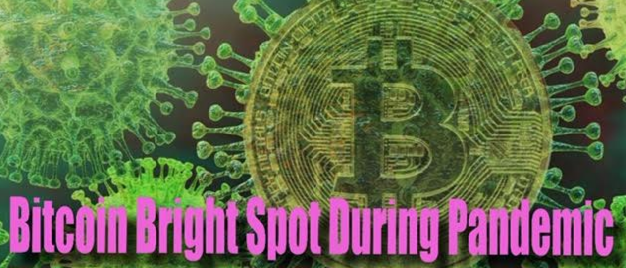 Bitcoin Bright Spot in Midst of Coronavirus Pandemic