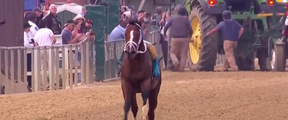 Bodexpress Runs Preakness Without a Jockey but Declared 'Did Not Finish' - No Refunds
